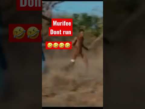 Murifee  dont run,hilarious