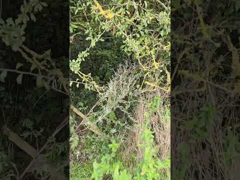 For me, burnout is about giving more than what I have. I need to stop overcommiting. #burnout