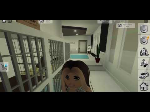 LANA AND THE ANIMAL SHELTER! BROOKHAVEN RP ROBLOX