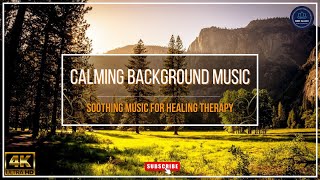 Soothing Music for Healing Therapy and Meditation: Calming Background Music for Focus and Relaxation