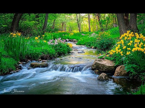 Soothing Relaxation Music & Nature Sounds 🌿 Relieve Stress, Meditation Music, Healing Sleep Music