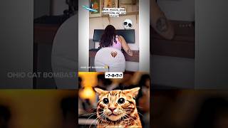DECEMBER FOOL 💀 #trending #latest |4K SHORTS | OHIO CAT BOMBASTIC