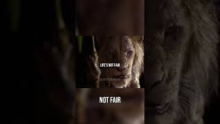 Life's Unfair Truth: Finding Light in the Dark