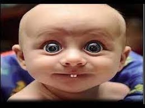 Funny Moments That Will Make You Cry Laughing!”