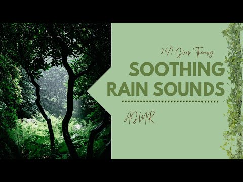 Soothing Landscape Sounds | Beat Insomnia with ASMR | 24/7 Sleep Therapy