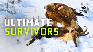 The Ultimate Survival Challenge: Wildlife in the World's Harshest Climates | 4K Nature Documentary