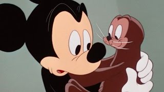 Mickey and the Seal | A Classic Mickey Short | Have A Laugh | @disneykids