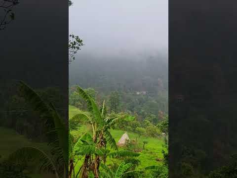 barish🥰 #nature #shorts #ytshorts #amazinguttarakhand #travel