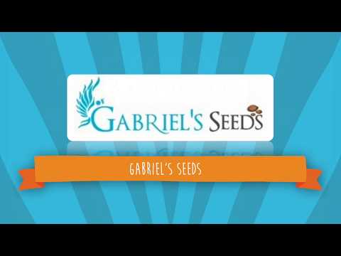 Gabriel's Seeds | Create personalized learning apps