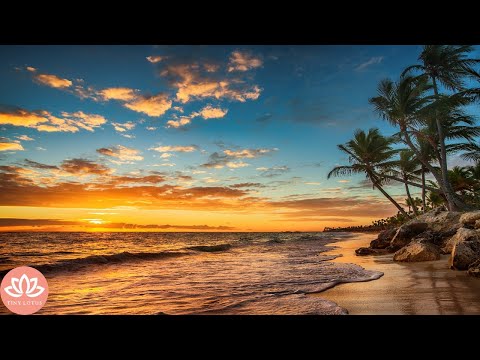 1 HOUR of Relaxing Beach Music | Spa Music for Healing, Sleeping, Calm Music, Meditation ☯21