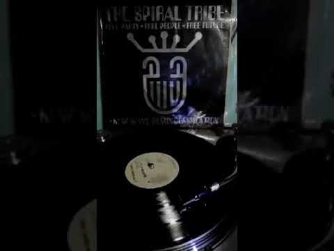 More to loose ( Spiral Tribe ) - Seona Dancing