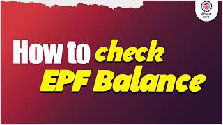How to Check EPF Balance & View PF Passbook | EPFO Member Guide