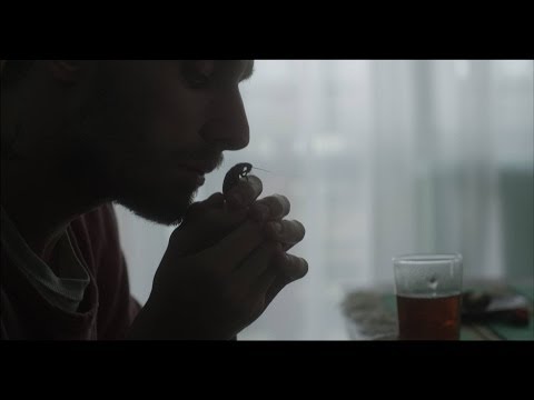 Low Roar - Breathe In (Official Video) ft. Amiina