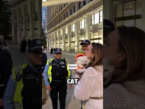 adorable cat meets cops #shorts