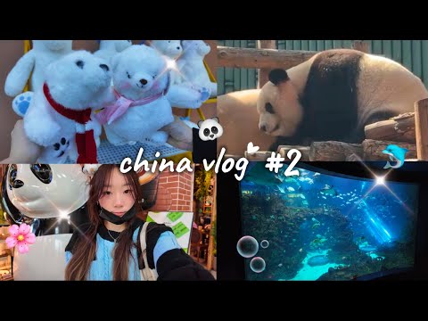 🇨🇳 vlog : beijing zoo, pandas, dolphins, chinese foodies, ktv