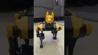 Petoi Bittle Robot Dog Compatible and Raspberry  Pi #petoi #cvzone #robotics #shorts
