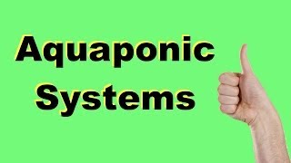 Aquaponic BioFilter 3 - Homemade Bio Filter For Aquaponic Systems