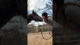 Exciting Week 1 Update 🐎 Don't Miss This! #horses