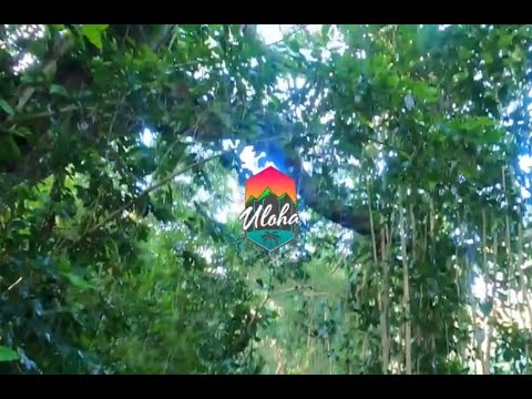 Trail Etiquette with Uloha episode 2 of 3