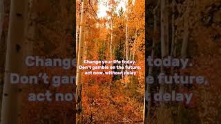 #believeinyourself #mentalpeace #stillgood