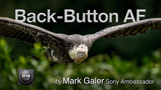 Back Button Focus for Sony Alpha Cameras