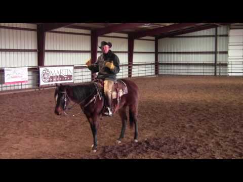 Training Tip: How to Use the Bungee Tie Down