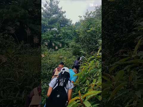 #hiketonature #bundole #travel #janeyvayejaammaya#peace #greenary #calm #fharping #bhundolej