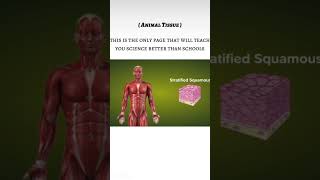 Animal tissue | Today's science infact | #knowledge #science #youtubeshorts #study #physics #infact