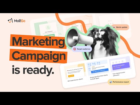MoeGo Email Marketing Campaign