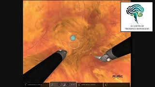 surgical simulation with the da Vinci robotic system