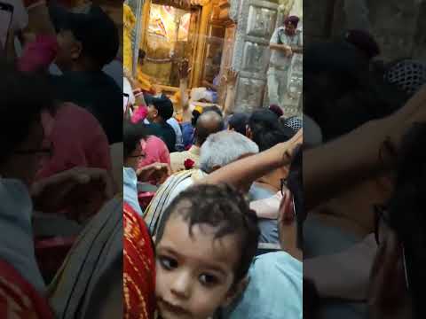 Jai Baba Khatu shyam ki ❤️🙏 #travel #shortsvideo #meerut #khatuwale #ringas #khatunagari