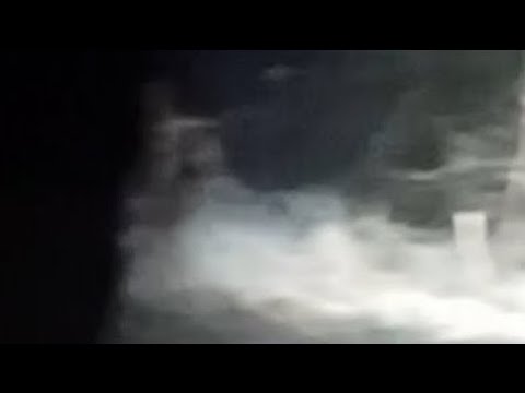 We saw a ghost in the woods!