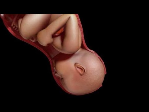 NORMAL LABOR PART 2