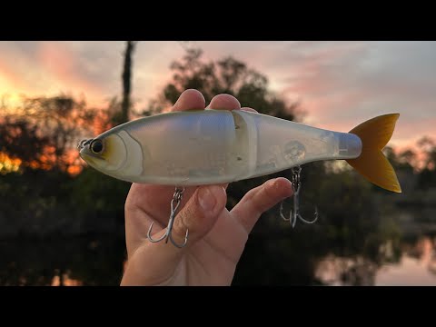 I Caught This Strange Fish On One Of My Most Expensive Swimbaits
