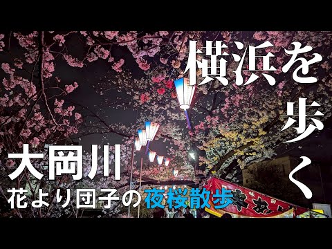 【横浜散歩】大岡川の夜桜を巡る🏮