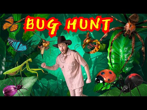 We're Going on a  Bug Hunt | Bear Hunt | Nursery Rhymes | Videos for Children