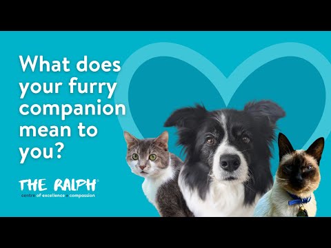 What does your pet mean to you? - The Ralph