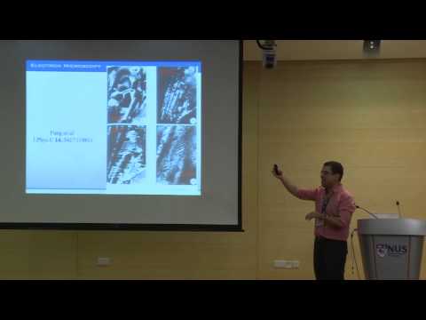 Talk given by Antonio Castro Neto