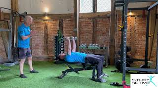 Study Active - Bench Dumbbell Flys Tutorial