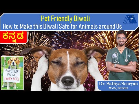 Pet Friendly Diwali -Kannada | How to Make this Diwali Safe to Animals | Fireworks | Sweets | Candle