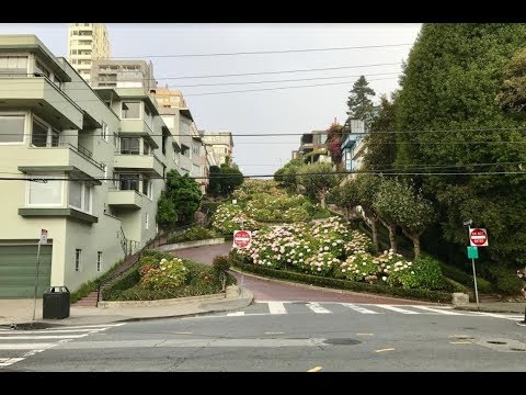 Driving on Lombard Street