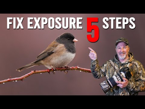 The REAL Reason Your Wildlife Photos Are Noisy  Fix in 5 Steps