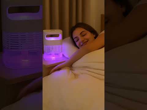 Ngủ yên không lo muỗi, nhờ em này cứu tinh phòng ngủ