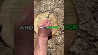 Master Direction Finding with Your Watch!
