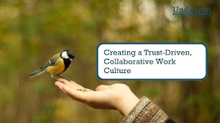 Creating a Trust Driven, Collaborative Work Culture