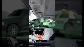 Elephant green screen effect (adhd version)