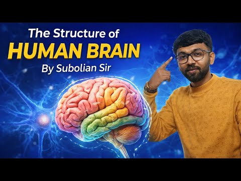 Structure of the Human Brain Explained in Detail | মানব মস্তিষ্কের গঠন বিস্তারিত |টপিকটি ভুলে দেখাও