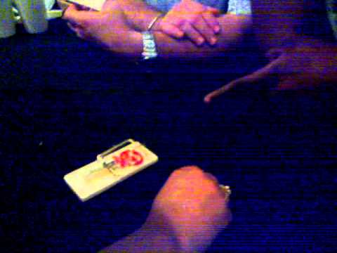 26052010001