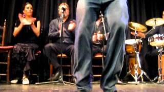 Flamenco man - holy fast feet!