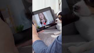 😂🐾 Share your funniest pet tech fails in the comments! #PetFails #FunnyPets #TechTrouble #Shorts